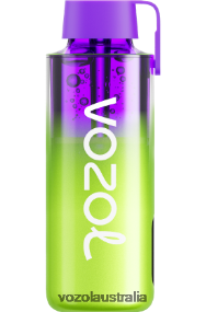 VOZOL vape Australia - VOZOL NEON 10000 RASPBERRY WATERMELON 0T440V237