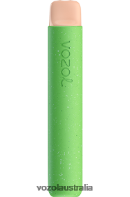 VOZOL vape Australia - VOZOL STAR 600 LEMON RASPBERRY WATERMELON 0T440V87