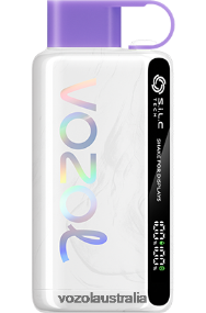 VOZOL vape Canberra - VOZOL STAR 9000/12000 GRAPE ICE 0T440V24