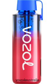 VOZOL vape flavors - VOZOL NEON 10000 BLUEBERRY ICE 0T440V243