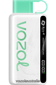 VOZOL vape flavors - VOZOL STAR 9000/12000 LEMON MINT 0T440V43