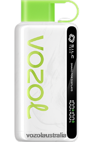 VOZOL vape price - VOZOL STAR 9000/12000 STRAWBERRY KIWI 0T440V31