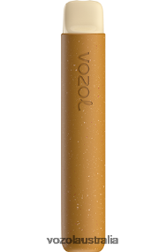 VOZOL vape review - VOZOL STAR 600 TOBACCO 0T440V98