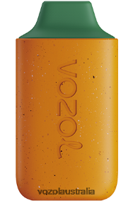 VOZOL vape sale - VOZOL STAR 6000 MANGO PEACH WATERMELON 0T440V120