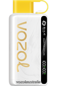 VOZOL vape store - VOZOL STAR 9000/12000 KIWI PASSION FRUIT GUAVA 0T440V25